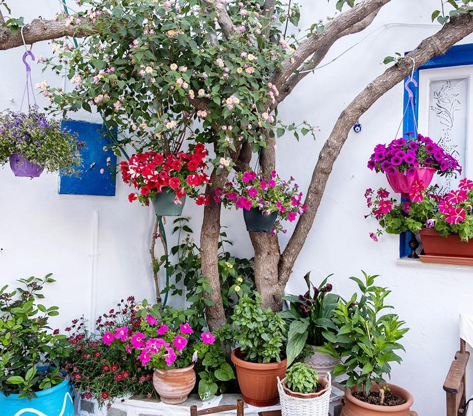 Cyclades
